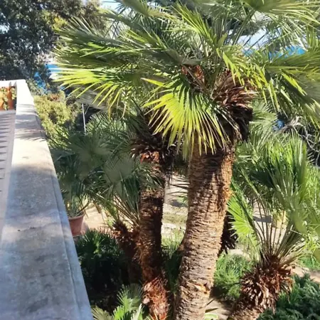 In Sul Mare Castiglioncello